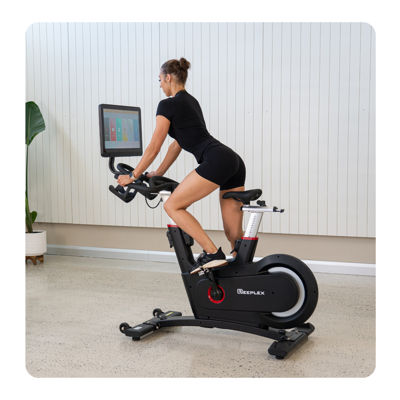 save on fitness equipment