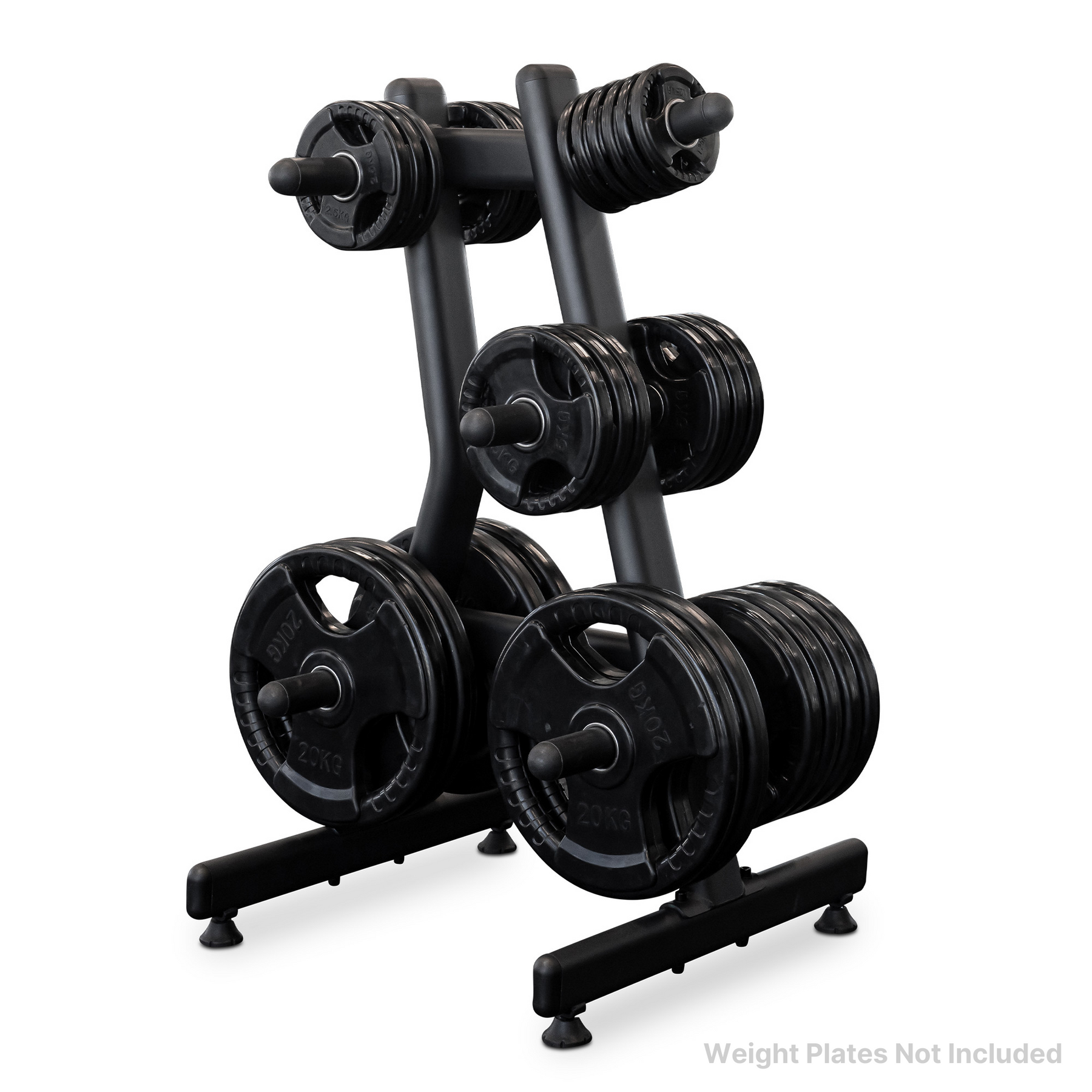 Reeplex Commercial Weight Plate Storage Tree