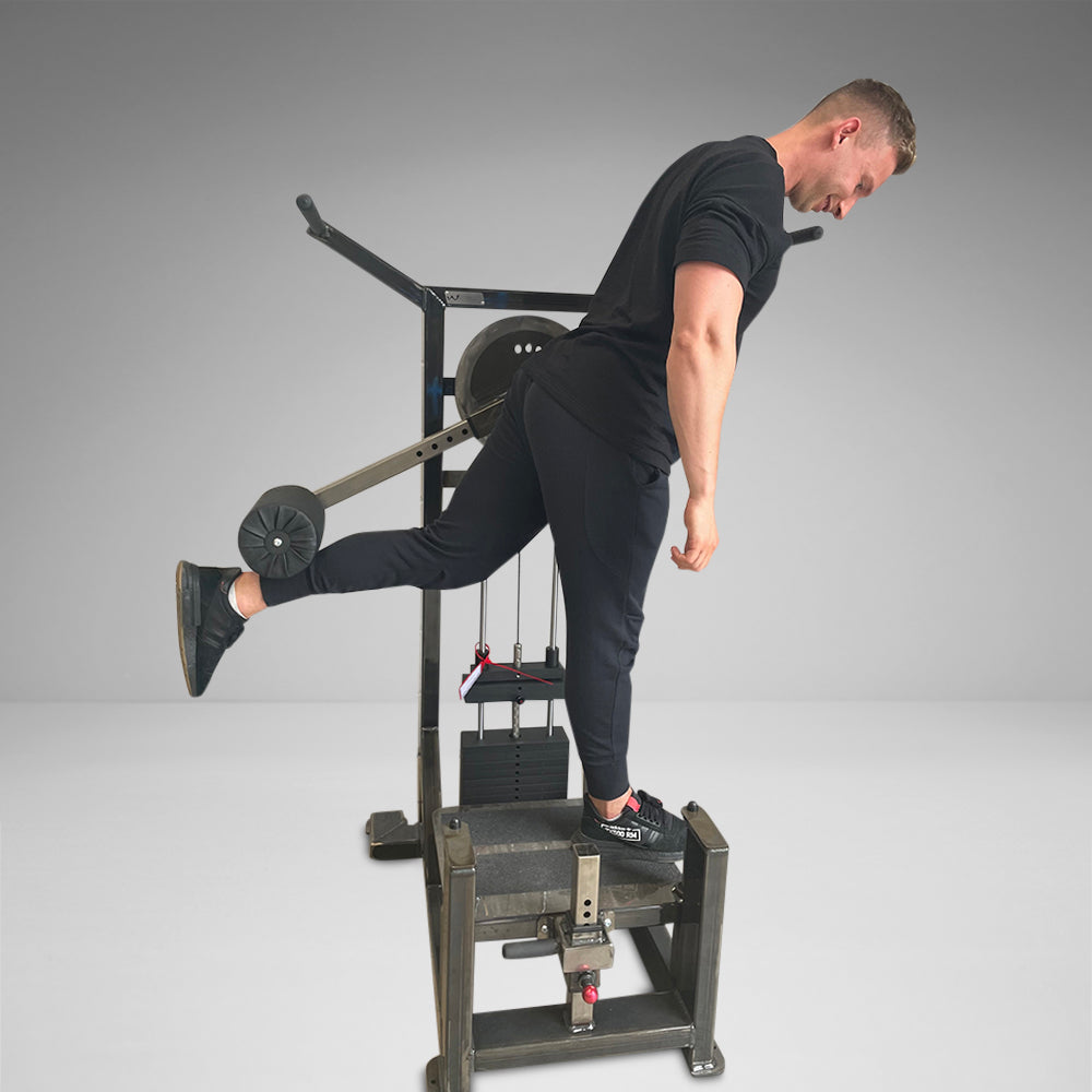 2SingleStackMulti-Hip