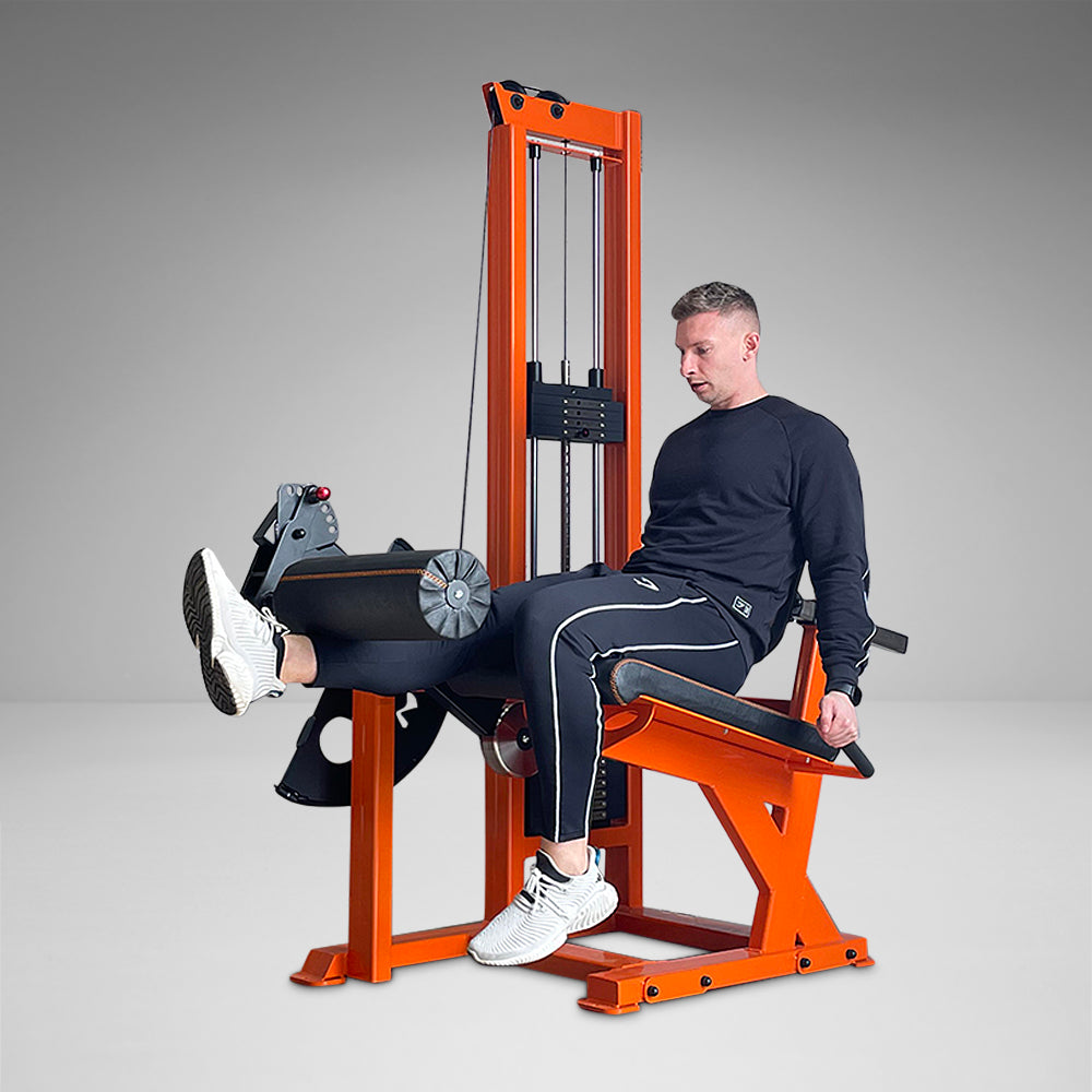 2Single Stack Leg Extension