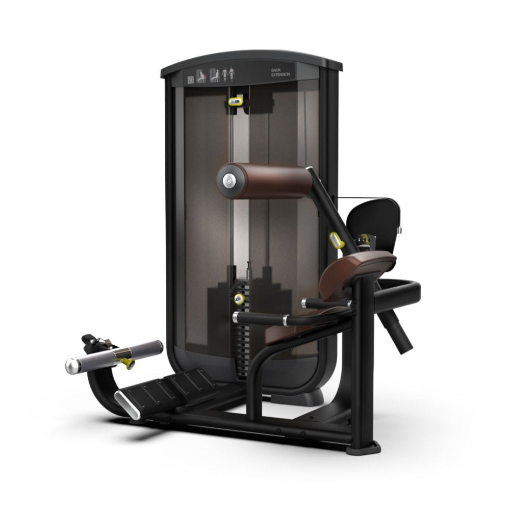Intenza Selectorized Back Extenssion Machine Ease Line