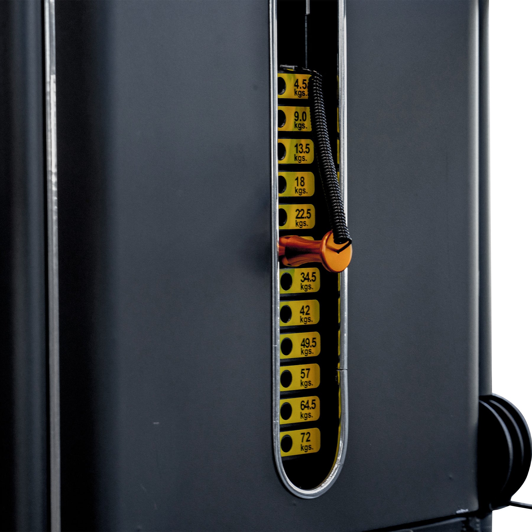 Reeplex Commercial Lateral Raise Machine