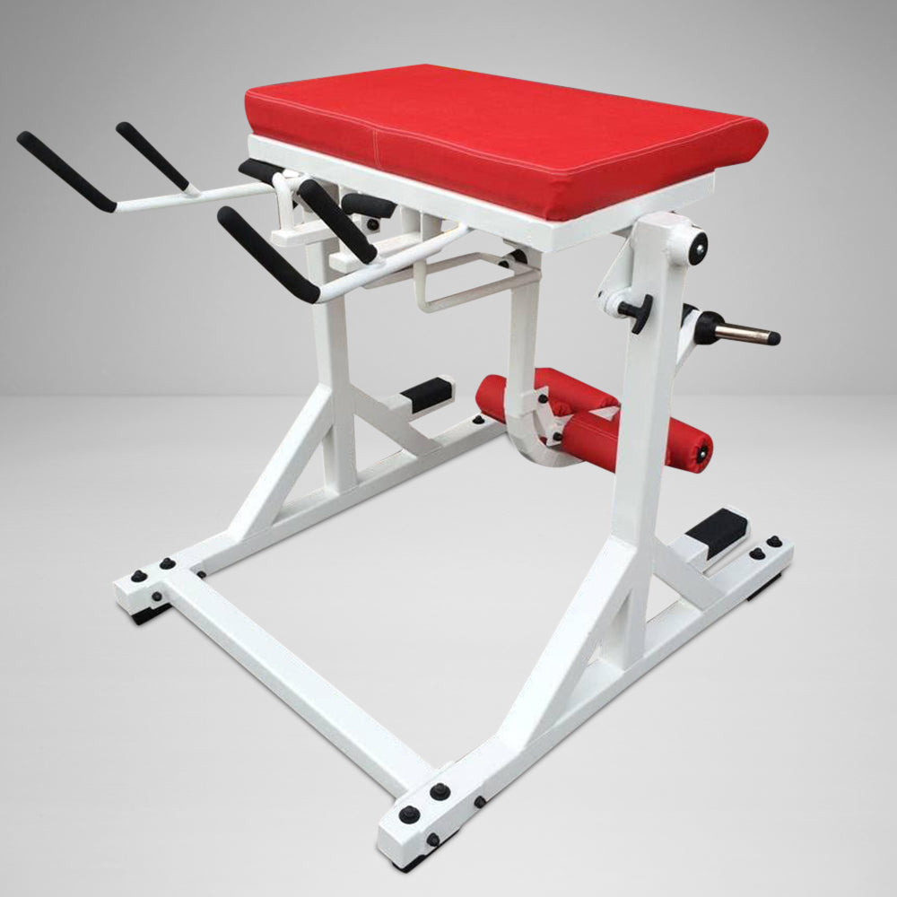Westside Reverse Hyper with Bent Pendulum