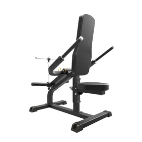 Impulse IFP Biceps & Triceps Machine