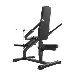 Impulse IFP Biceps & Triceps Machine