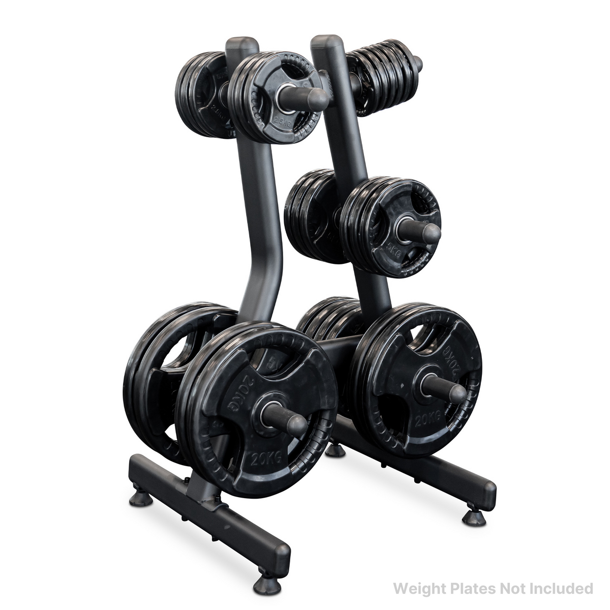 Reeplex Commercial Weight Plate Storage Tree