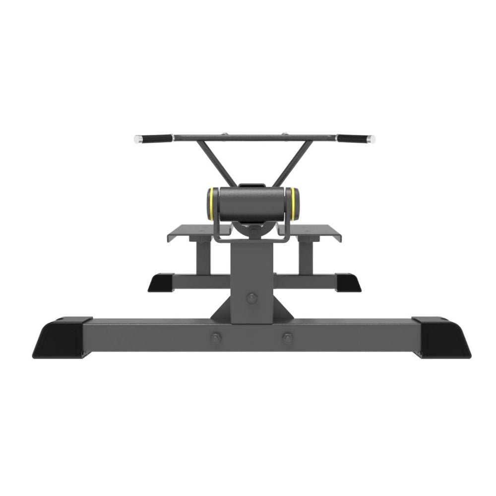 Impulse IFP T-Bar Row Machine