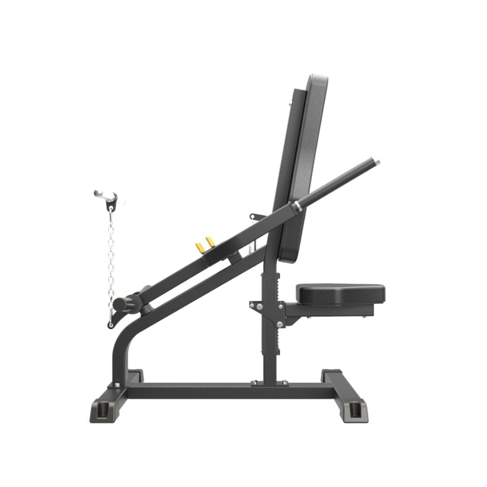 Impulse IFP Biceps & Triceps Machine