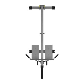 Impulse IFP T-Bar Row Machine