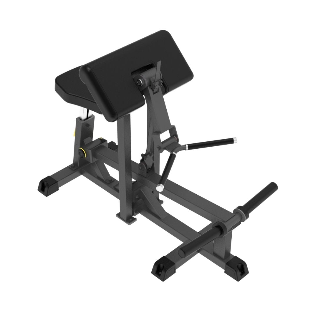 Impulse IFP Bicep Curl Machine