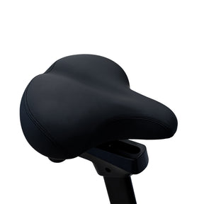 Reeplex Apex Air Bike