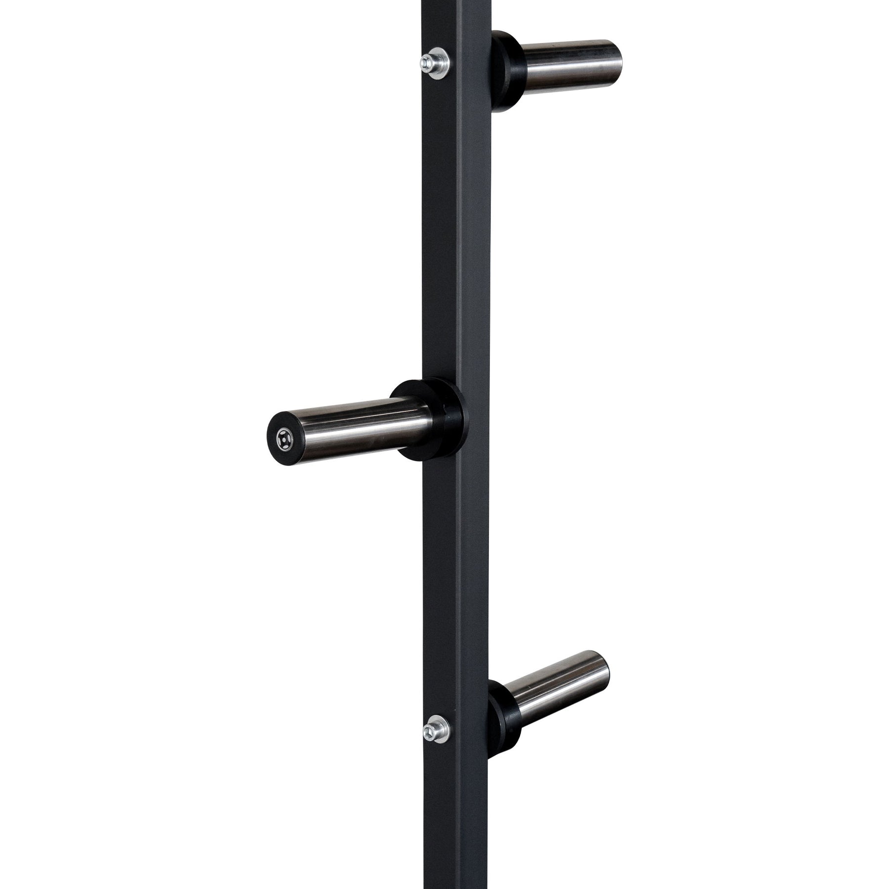 Commercial Half Squat Rack With Weight Plate Storage