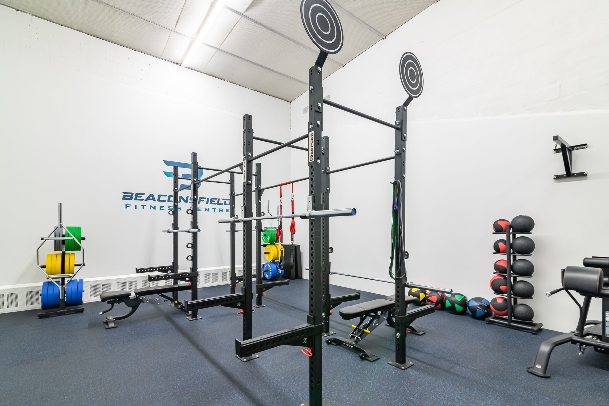commercial squat rig 4 cell free standing