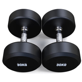 30kg Round Head Rubber Dumbbells Pair