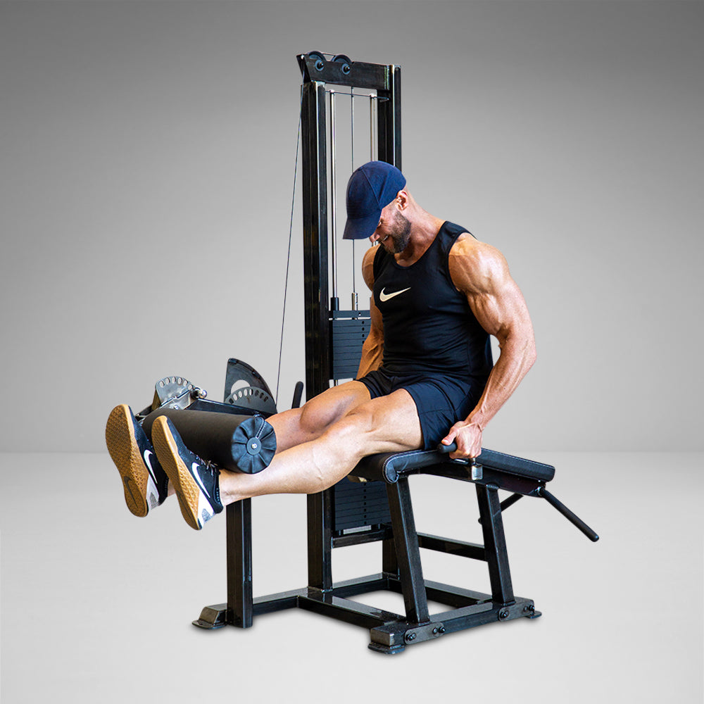 Watson Single Stack Leg Extension/Lying Leg Curl | Dual Function Lower ...