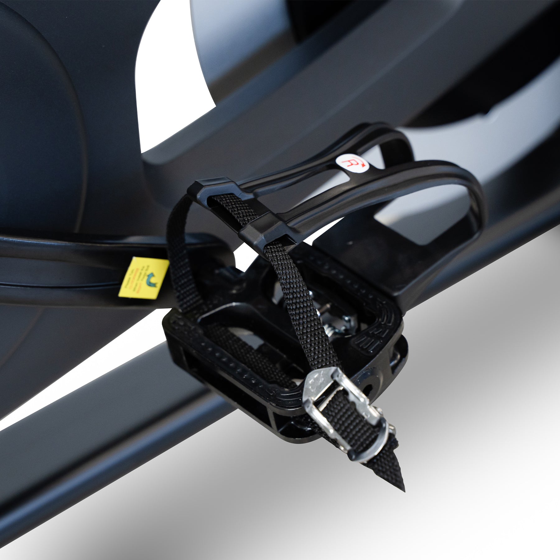 Reeplex SCX Spin Bike