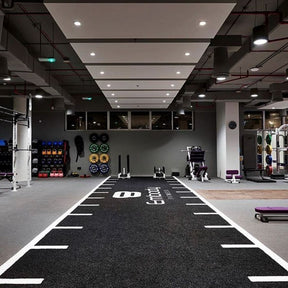 Custom Astro Turf 2m x 10m Sled Track For Gyms