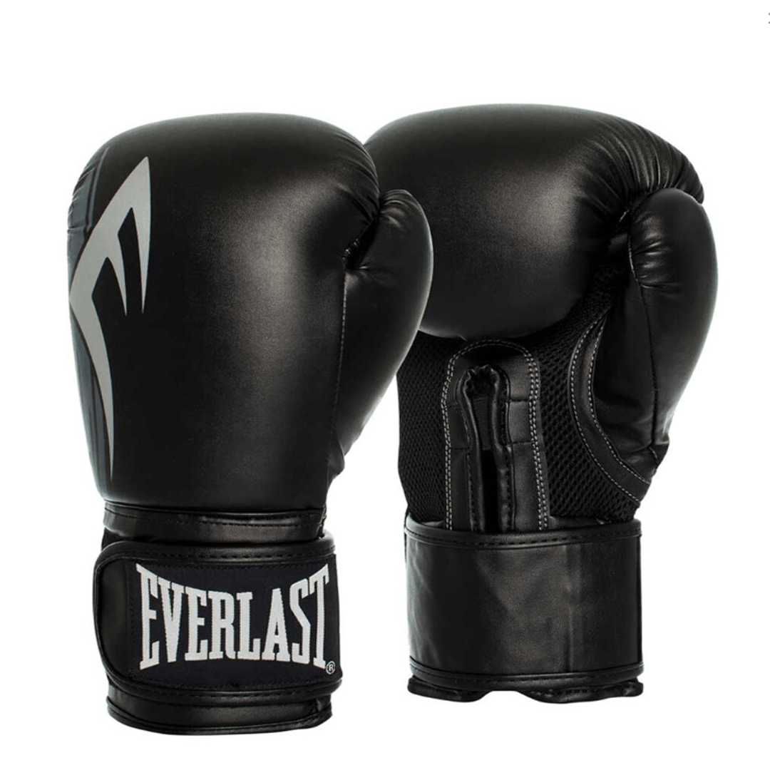 Everlast Pro Style Power Boxing Glove 12OZ - Dynamo Fitness