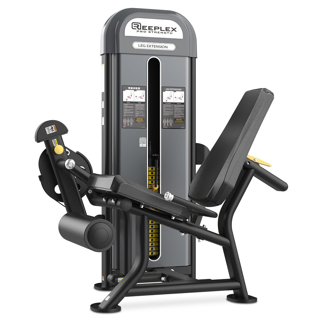 Leg Extension Example Machine Leg Extension